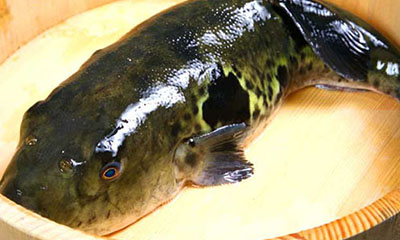 top-slider5